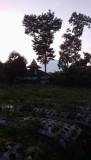 Kearifan Lokal dalam Pengelolaan Ruang : Fenomena Pembatasan Rumah di Dukuh Semunggang