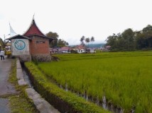 Desa Wisata Kubu Gadang "Meramu Tradisi Menjadi Pariwisata Modern"