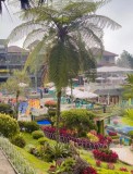 Puncak Darajat Pass Garut: Destinasi Air Panas dan Wahana Lengkap