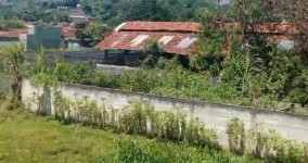 Warga Mekar Sari Cikawung Keluhkan Bau Tak Sedap dari Peternakan Bebek di Tengah Pemukiman