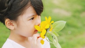 Bunga "Media Terbaik Mengembangkan Indra Visual dan Penciuman Anak"