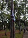 Ecopark Tebet Jadi Destinasi Seni Wajib Kunjungi "Jakarta ARTMOSPHERE 2025"