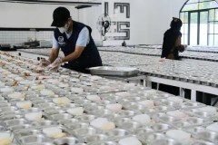 BGN Berupaya Optimal Selesaikan Kendala Gaji Petugas MBG