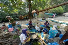 Industri Rumput Laut Indonesia Ditingkatkan Melalui Inisiatif Investing in Women dan Birufinery