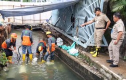 Pemkot Jakarta Pusat Gerak Cepat Bersihkan Saluran Air dan Periksa Pohon Rawan Tumbang