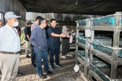 Teknologi Maggot Didorong Jadi Andalan Pengolahan Sampah Nasional