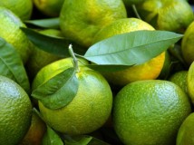 Pilihan Buah Ideal untuk Sahur Agar Tubuh Tetap Bertenaga