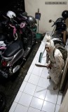 Sederet Teror Pocong yang Bikin Heboh Warga Masyarakat Indonesia, Apa Maksudnya? 