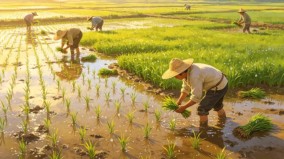 Dewi Sri Dari Kisah Padi, Tradisi Agraris, hingga Ragam Seni Nusantara