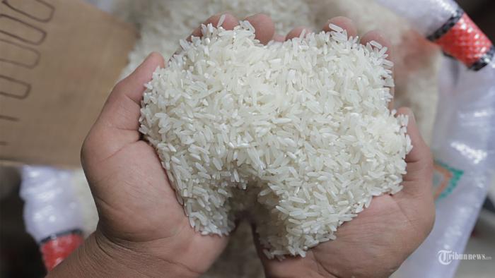 5 Alasan Kenapa Beras Sumo Wajib Ada di Dapur Anda? Nasi Pulen dan Lembut Seperti Restoran Jepang