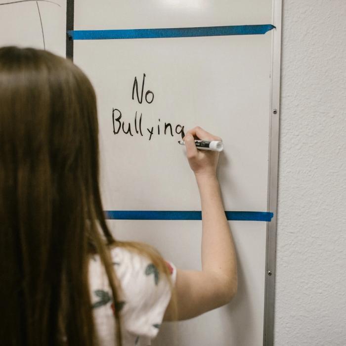 Empowering Survivors : Membangun Kepercayaan dan Penguatan Diri Korban Bullying Melalui Program Terpadu