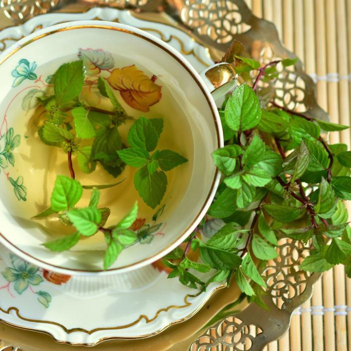Si Hijau Segar "Mengungkap Segudang Manfaat Daun Mint"