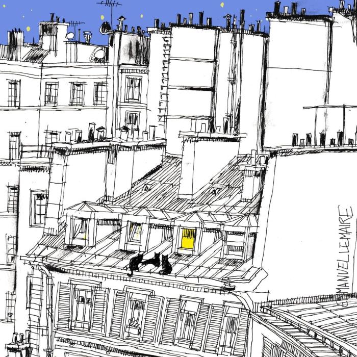 A Visual Jaunt Across Parisian Rooftops in "Paris Toits Chats": An Illustrative Narrative