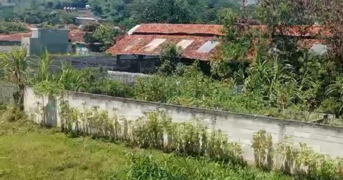 Warga Mekar Sari Cikawung Keluhkan Bau Tak Sedap dari Peternakan Bebek di Tengah Pemukiman