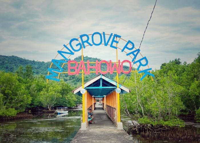 Desa Bahowo : Destinasi Ekowisata Unggulan yang Berakar pada Konservasi Mangrove