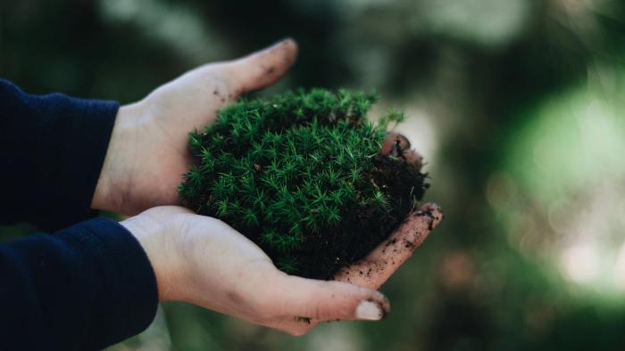 Melindungi Bumi di Tengah Konflik Hari Internasional untuk Mencegah Eksploitasi Lingkungan dalam Perang