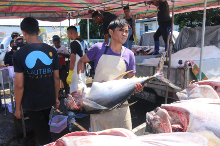 Pangan Biru Potensi Laut Indonesia dalam Menopang Ketahanan Pangan Global