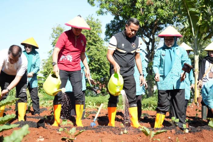 Pemkot Jakarta Timur Ikut Tanam dan Panen Serentak Se-DKI Jakarta di Kelurahan Cilangkap Cipayung