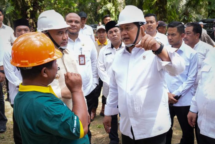 Transmigan Kuamang Kuning Sukses Kelola Sawit Kementerian Rencana Replanting 10.000 Hektar untuk Keberlanjutan