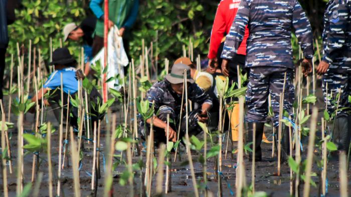 Gerakan Penanaman Mangrove di Brebes Perkuat Perlindungan Pesisir dan Dukung Target Nasional